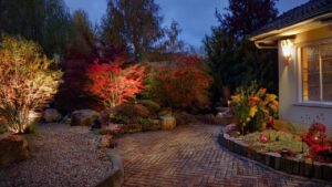 Backyard Spotlighting