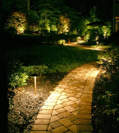 Landscape 1
