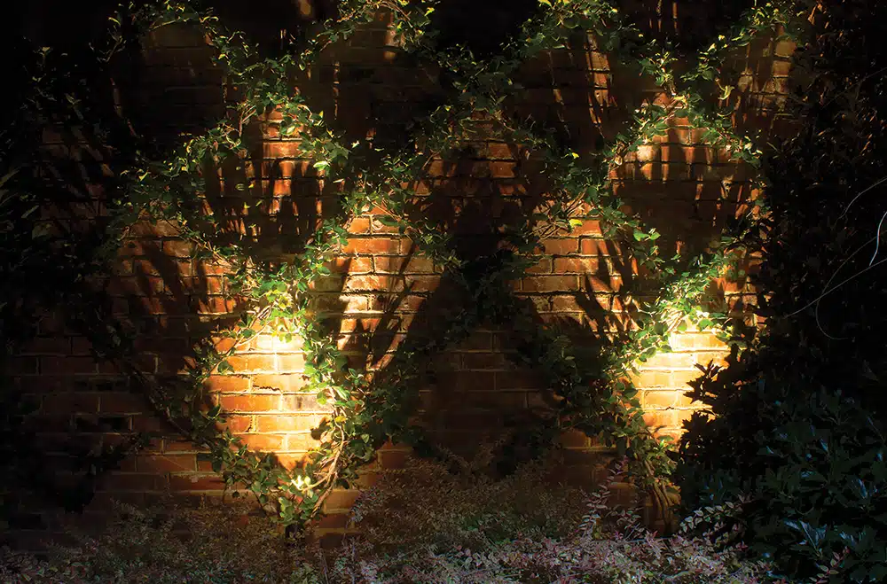 Garden lighting in Charlotte, NC. Lights on a brick wall with vines.