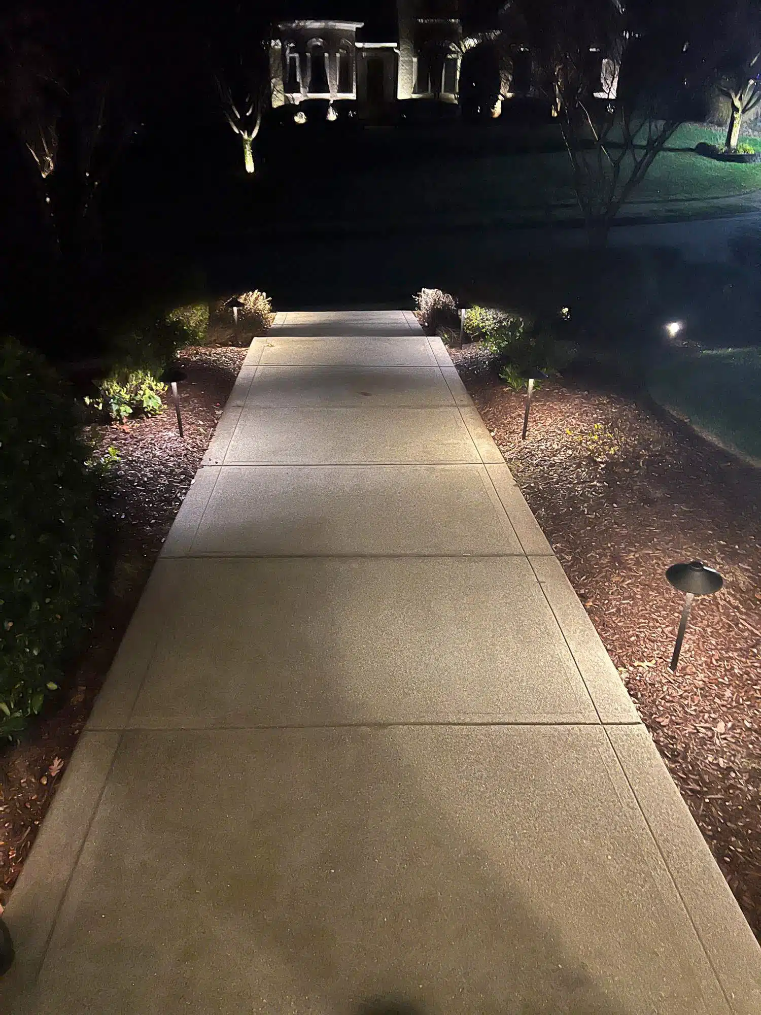 Outdoor pathway lights illuminating a concrete walkway and garden by Landscape Lighting Resources in Charlotte NC