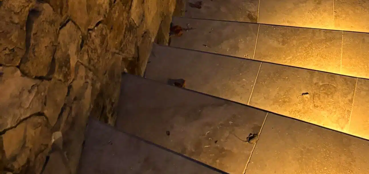 Step and riser lighting illuminating outdoor stone stairs by Landscape Lighting Resources in Charlotte NC